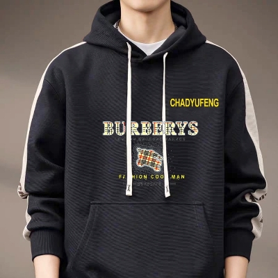 Picture of Premium Quality Winter Hoodie For Men's
