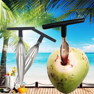 Picture of Coconut Opener Fruit Drill Hole Stainless Steel Coconut Can Opener Kitchen Utensils Small Tools Home Cooking Gadgets 1Pcs