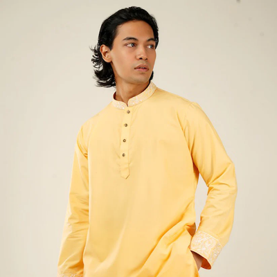 Picture of Shehzada Embroidered Panjabi in Tuscan Sun