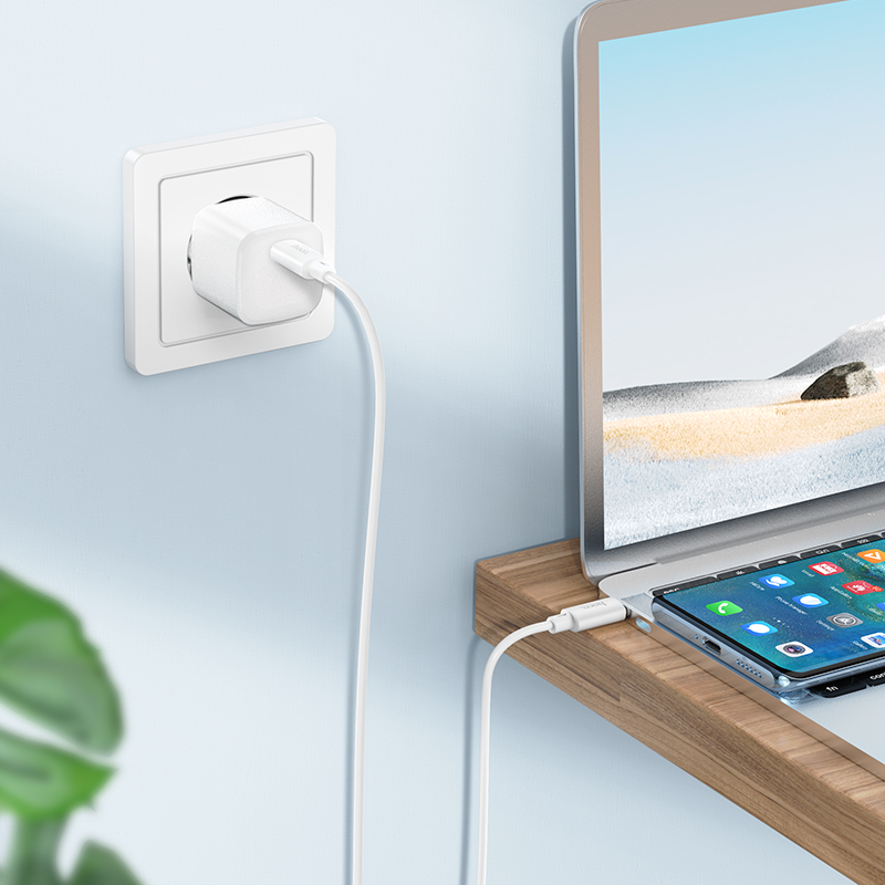Picture of hoco X88 Gratified 60W charging data cable for Type-C to Type-C