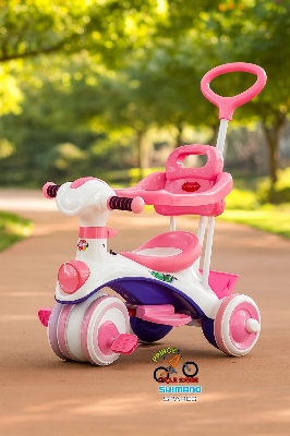 Picture of Akij Royal Rider Complete – 9M Tricycle With Music & Light For Baby Bike