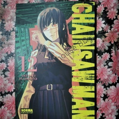 Picture of Chainsaw Man, Vol. 12 (12) Paperback  June 7, 2022(premium quality)