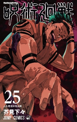 Picture of Jujutsu Kaisen, Vol. 25 Paperback – December 3, 2019     premium quality  Manga
