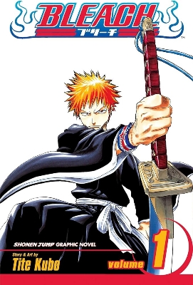 Picture of Bleach, Vol. 1