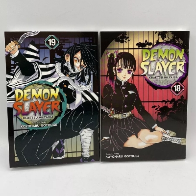Picture of Demon Slayer: Kimetsu no Yaiba, Vol. 18