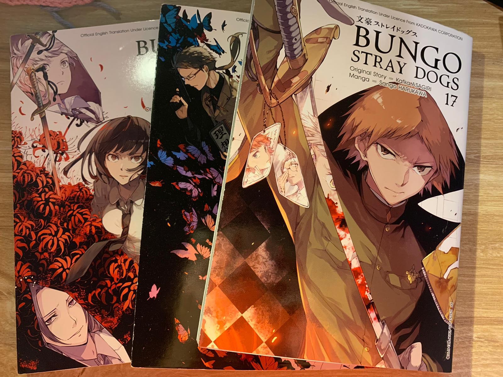 Picture of Bungo Stray Dogs Vol. 17