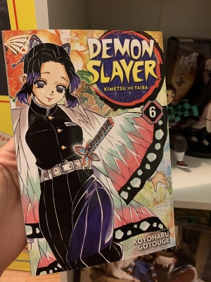 Picture of Demon Slayer: Kimetsu no Yaiba, Vol. 6