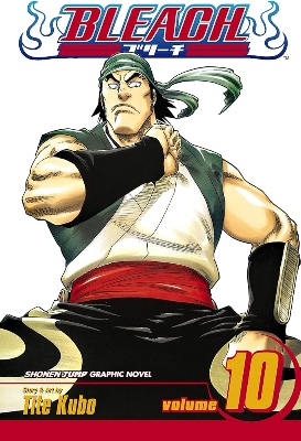Picture of Bleach, Volume 10