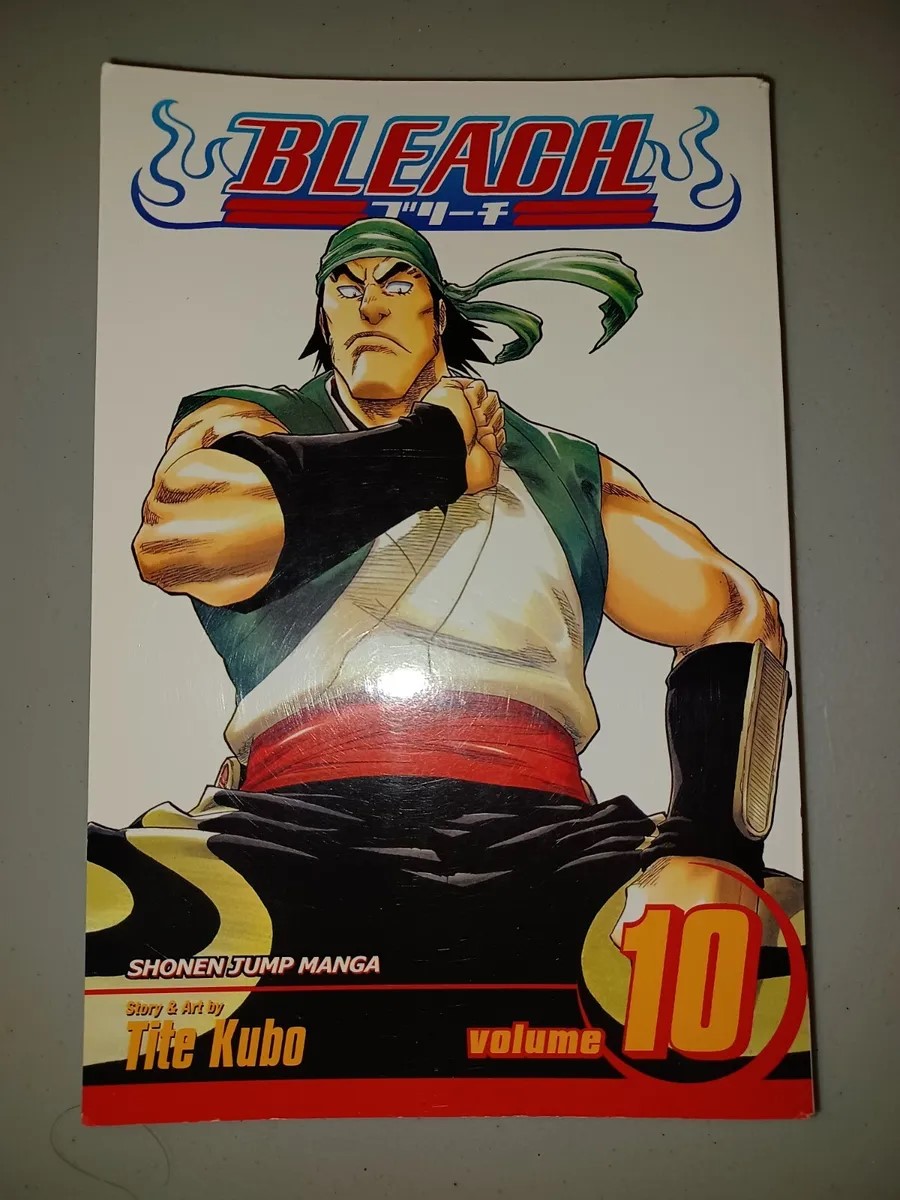 Picture of Bleach, Volume 10