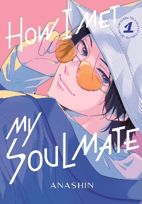 Picture of How I Met My Soulmate1- 3 Paperback – 11 June 2024
