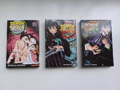 Picture of Demon Slayer: Kimetsu no Yaiba, Vol. 13