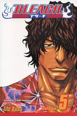 Picture of Bleach, Vol. 5