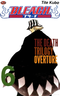 Picture of Bleach Volume 6 Manga Graphic Novels Book