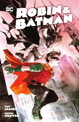 Picture of Robin And Batman by Jeff Lemire Comic Books DC Graphic Novels Superhero Comics 2017 Reprint