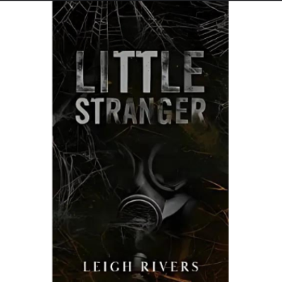 Picture of Little Stranger ( The Web of Silence Duet #1 ) ( Book by Leigh Rivers ) ( Premium Paper and Matte Cover ) Novel