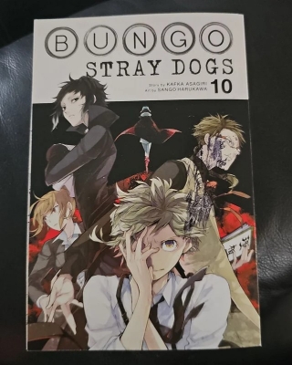 Picture of Bungo Stray Dogs Vol. 10