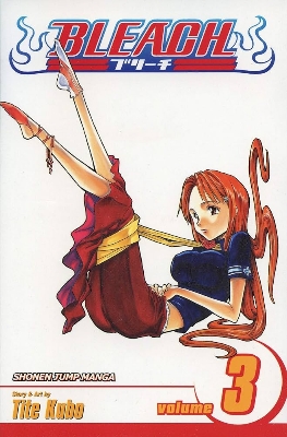 Picture of Bleach, Vol. 3