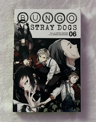 Picture of Bungo Stray Dogs Vol. 6