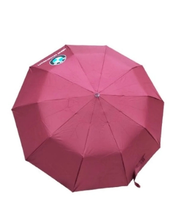 Picture of BMW orginal 08shikh big size multi functional outo open umbrella