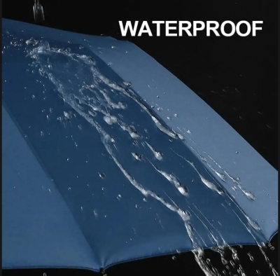 Picture of Umbrella BMW auto open multifunctional umbrella