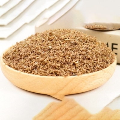 Picture of Godzilla Bloodworm Larva 23gm Pot | High Protein Fish Food | Aquarium Fish Food | Small Fish Food