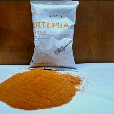 Picture of YEE Decapsulated Brine Shrimp 10gm Repack | Non Hatchable Decapsulated Artemia | Aquarium Fish Food | Small Fish Food | Ready To Eat | Direct Feed Artemia