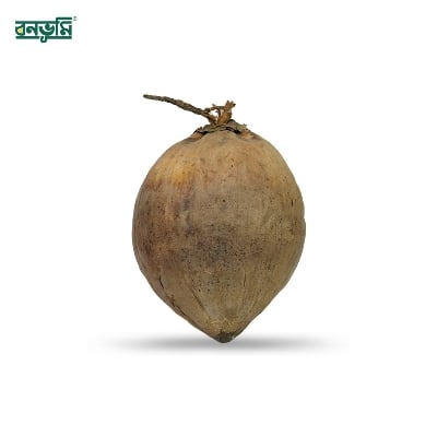 Picture of King Size coconut 1pcs