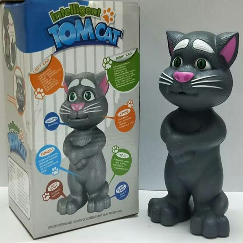 Picture of Intelligent Talking Tom Cat.