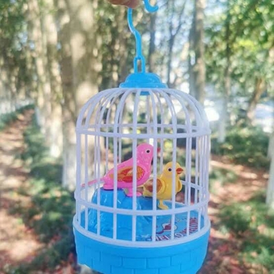 Picture of Singing & Chirping Bird in Cage, Sound Cage Bird Toy for Toddlers, Easter Gifts for Kids, Blue