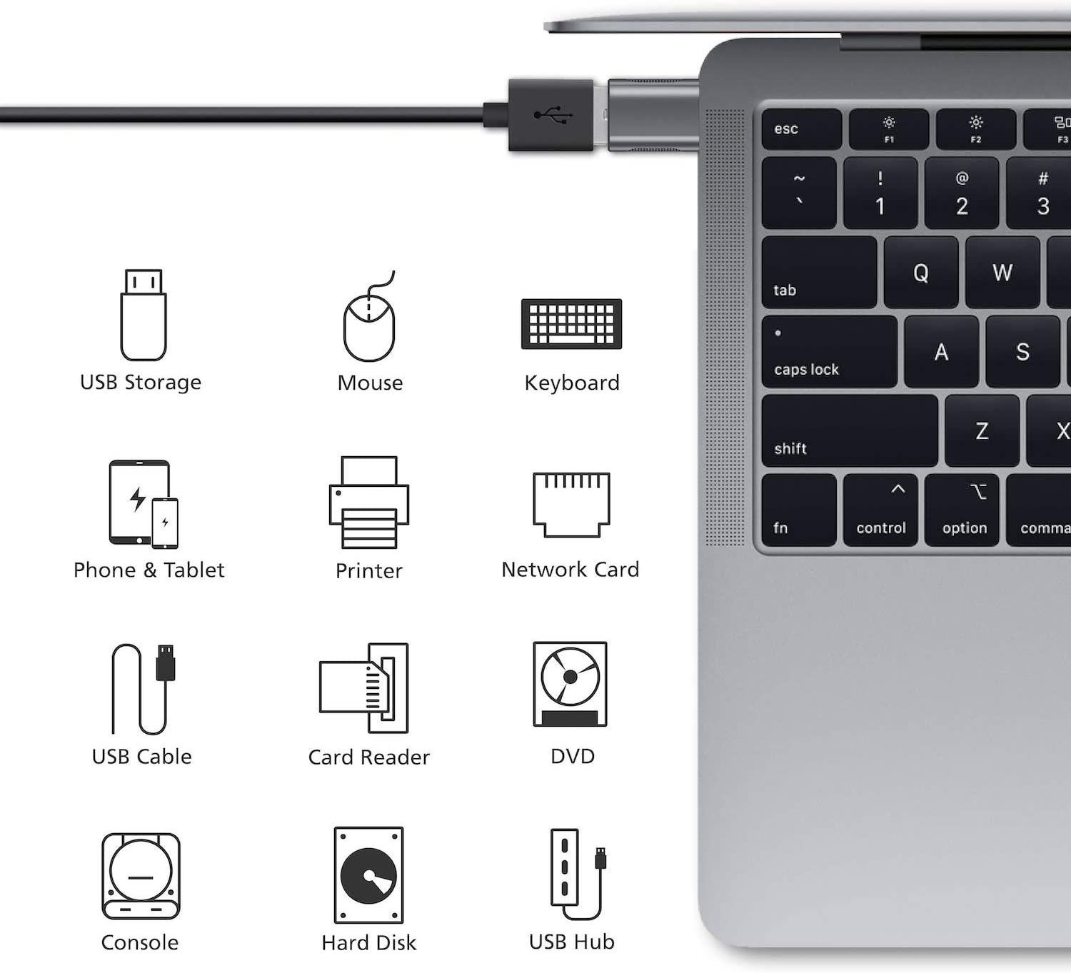 Picture of LDNIO USB C Female to USB Male Adapter Fast Transmission