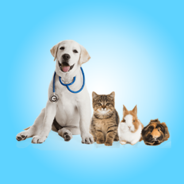 Picture for category Pet Care