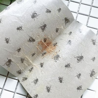 Picture of Mosquito Fly Trap for Insect Baits, mosquito Home Fly 3 Pcs