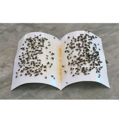 Picture of Fly Trap for Home Fly 3 Pcs