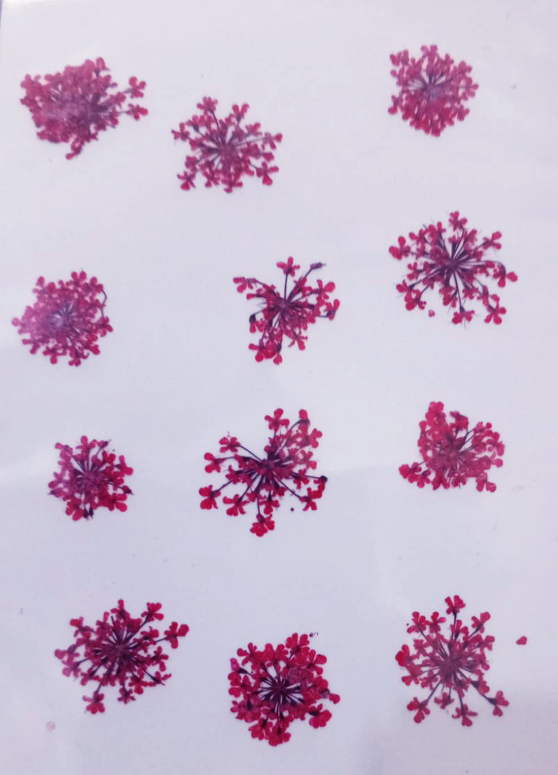 Picture of Majus Flower | Wedding Accessories Party Lace Dried Press Flower Red