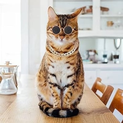 Picture of Cute and Funny Cat Pet Sunglasses