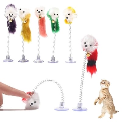 Picture of Cats Funny Cat Toy Pet Set Schtch Schine