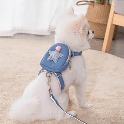 Picture of Adjustable Nylon Pet Cat Harness and Leash with medicine kit bag ~ Kitten adult Belt Collar with lead