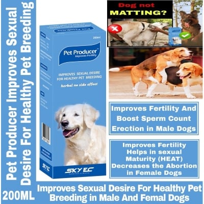Picture of Pet Producer Improves Fertility
