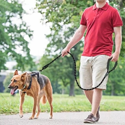 Picture of Pet Dog Nylon Adjustable Loop Training Lead Collar Leash Traction Rope