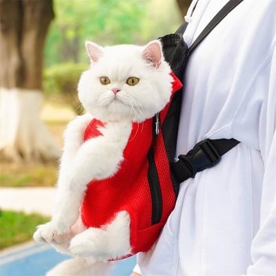 Picture of Dog Cat Carrier Backpack Frontpack Carrier Travel Bag Legs Out Easy-Fit for Small Medium Pets Puppiies Outdoor Traveling Camping-Random Colour ( S ) Size