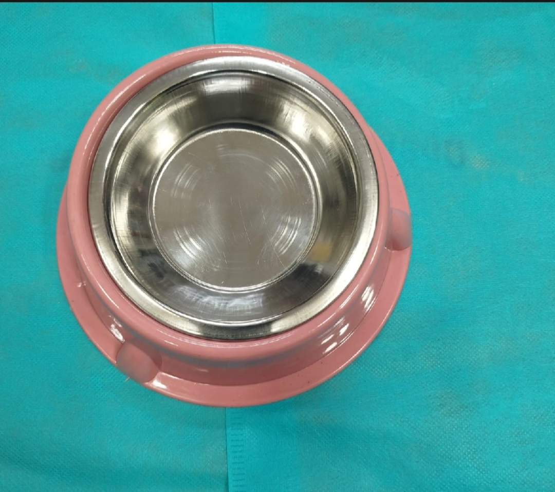 Picture of Stainless steel pet food single bowl for cat 1 pcs