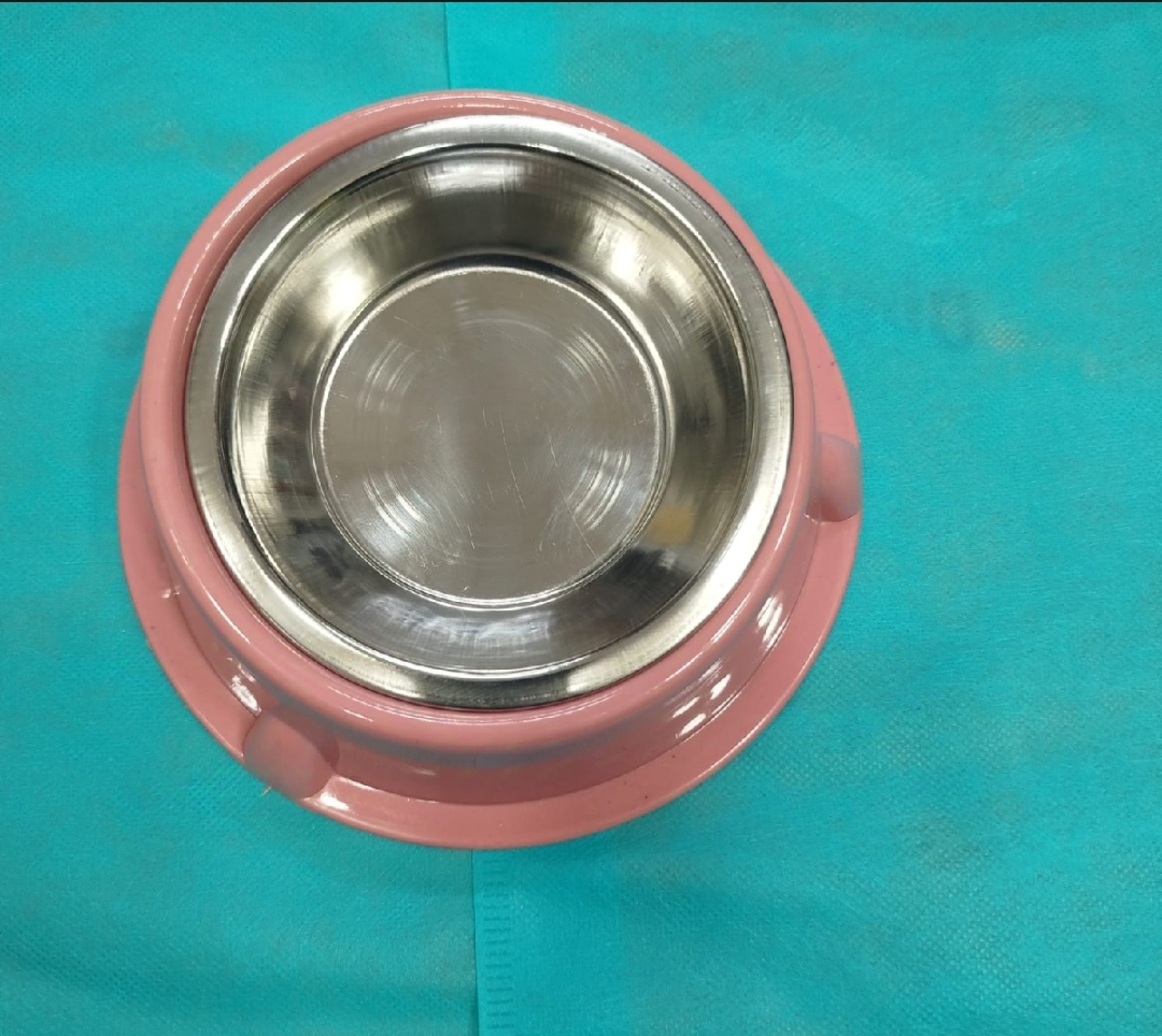 Picture of Stainless steel pet food single bowl for cat 1 pcs