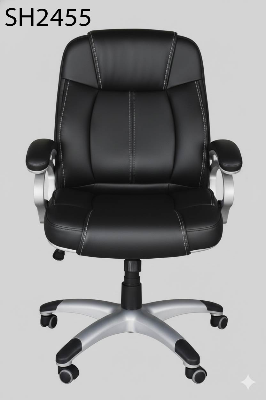 Picture of Smart Home 24 Premium Office Chair with Full SS Body | Strong & Stylish Design