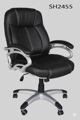 Picture of Smart Home 24 Premium Office Chair with Full SS Body | Strong & Stylish Design