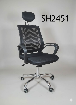 Picture of Smart Home 24 Premium Office Chair with Full SS Body | Strong & Stylish Design