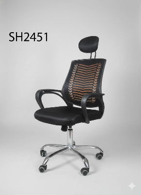 Picture of Smart Home 24 Premium Office Chair with Full SS Body | Strong & Stylish Design