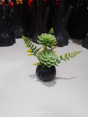 Picture of Artificial Plastic Plant-(1 pec only)