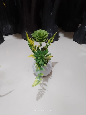 Picture of Artificial Plastic Plant-(1 pec only)