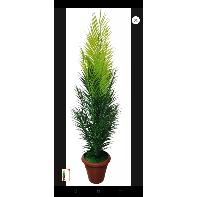 Picture of Artificial Plastic Plant Tree  -With Tub Palm trees 3.6 Fit  -  free delivery