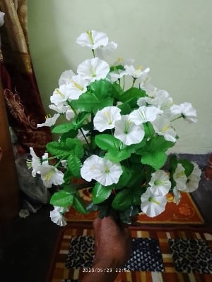 Picture of Artificial Plastic Plant